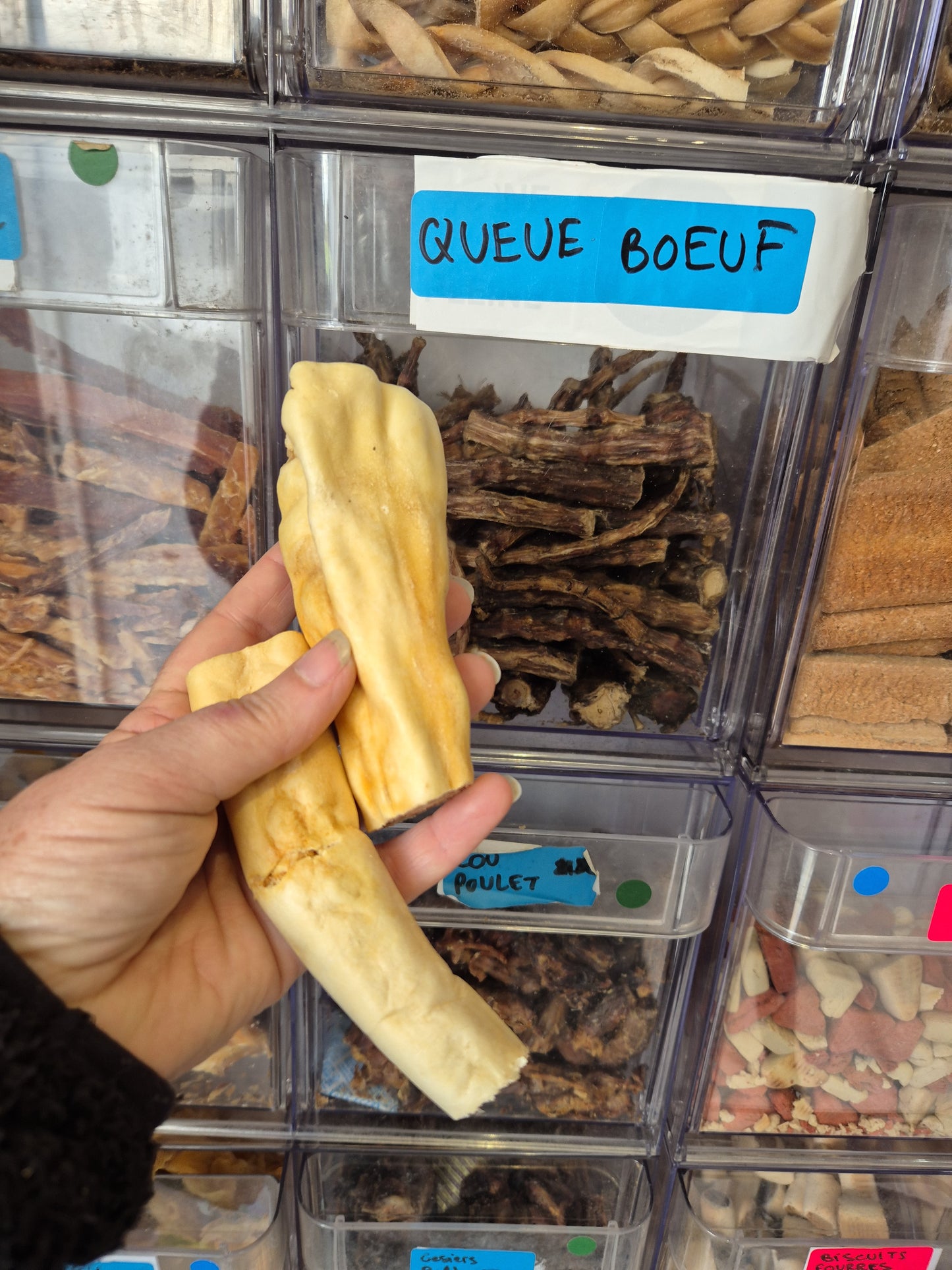 Queue de boeuf