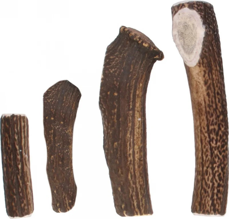 Demi bois de cerf