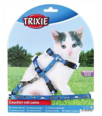 Harnais et laisse pour chaton