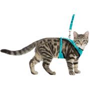 Harnais en y chat