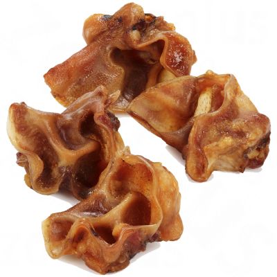 Pavillon oreilles de porc