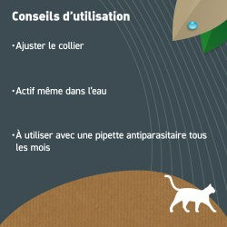 Collier anti puces chat
