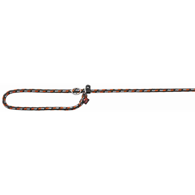 Laisse lasso