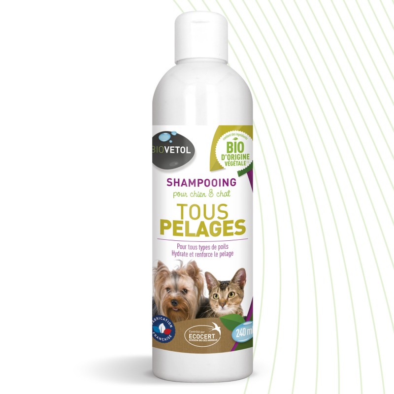 Shampooing tout pelage