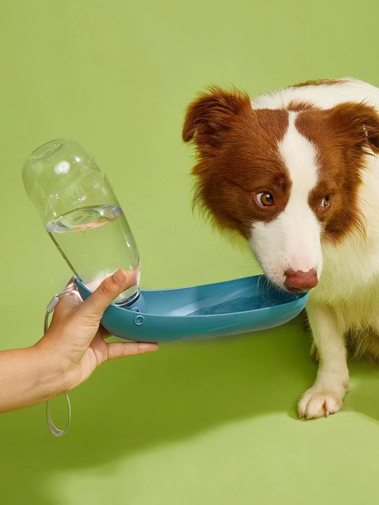 Gourde de transport pour chien