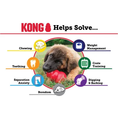 Kong extreme