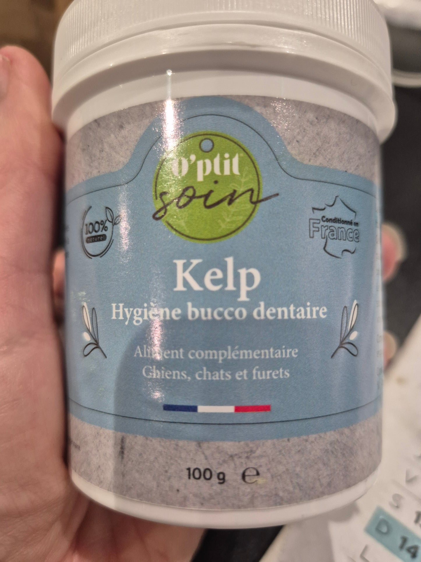 Kelp hygiene dentaire