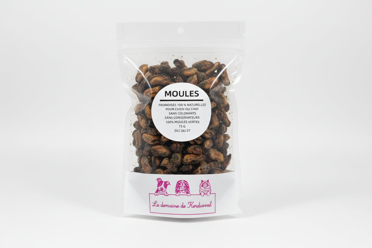 Moules 100%