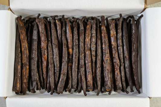 Queue de boeuf