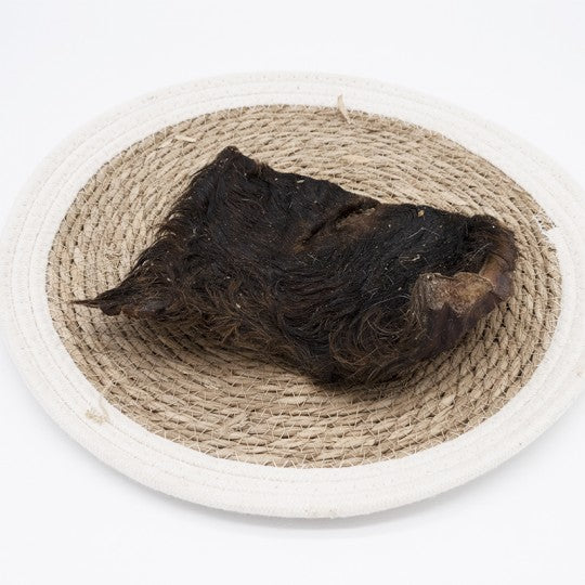 Plaque peau de boeuf avec poils
