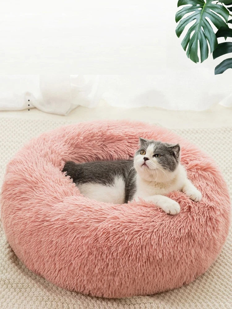 Coussin chat ou petit chien diametre 40 cm