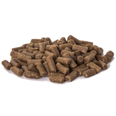 Friandises d éducation a l autruche