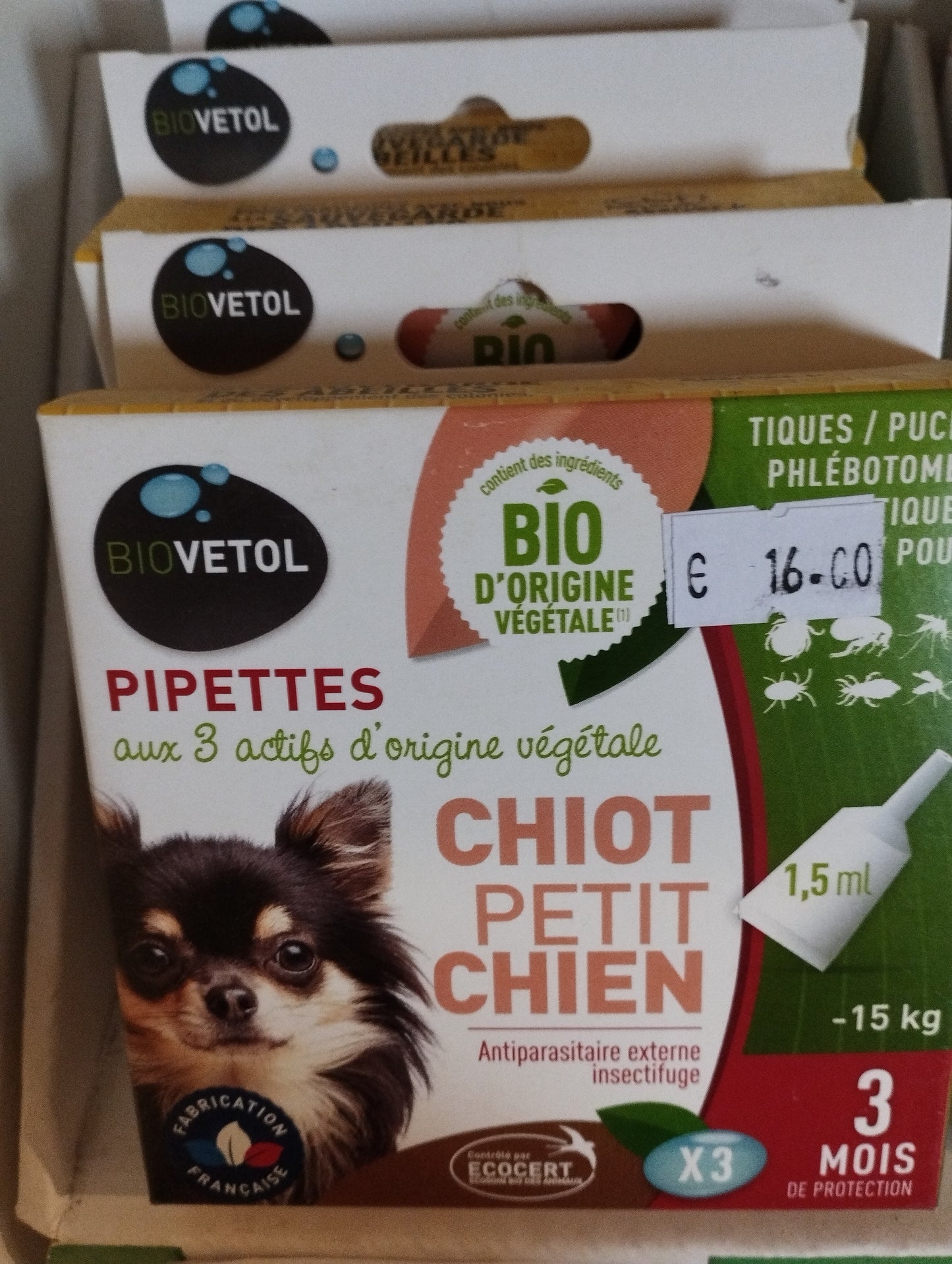 Anti puces