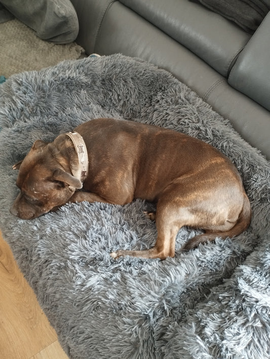 Coussin protection de canapé