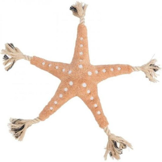 Etoile de mer renforcée