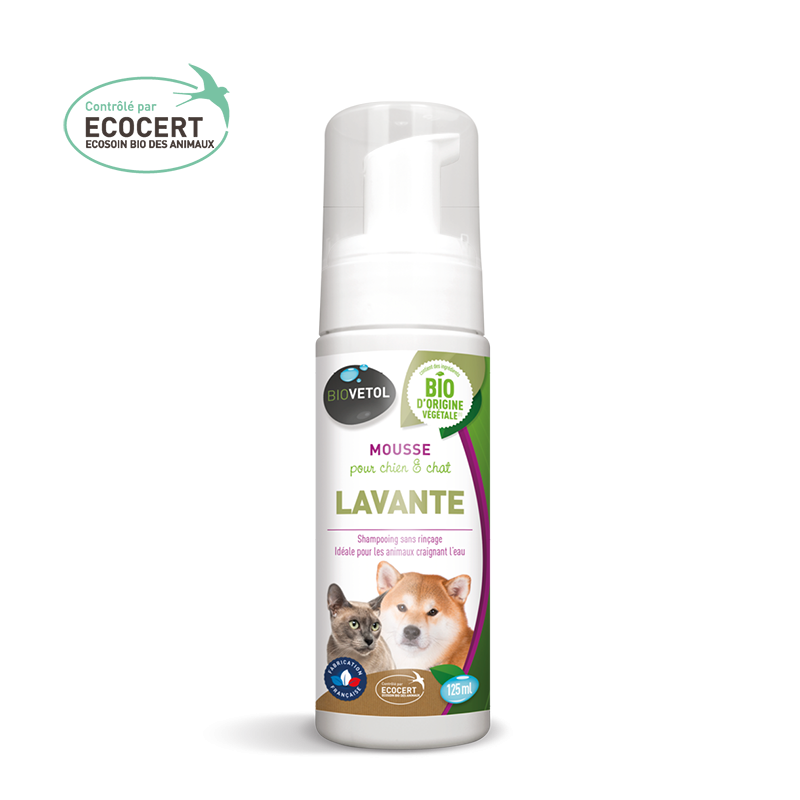 Mousse lavante sans rinçage