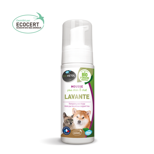 Mousse lavante sans rinçage