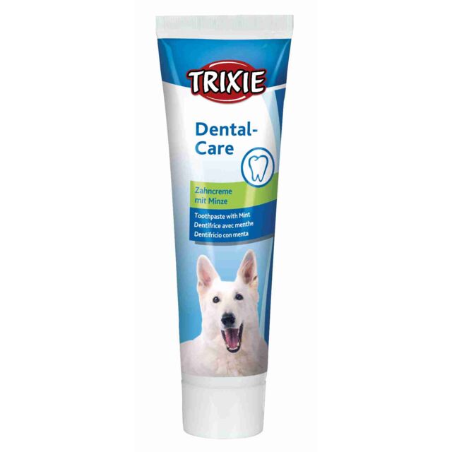 Set dentaire chien