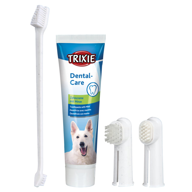 Set dentaire chien