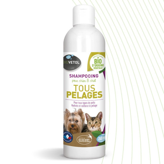 Shampooing tout pelage